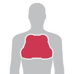 SAS-TEC SC-1/CP2 - ochraniacz klatki piersiowej (level 1)