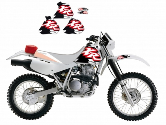 EMGO FILTR POWIETRZA HONDA VT 750C`97-07, VT 750DC`01-07 (HFA1710) (17213-MBA-01) (H1202)