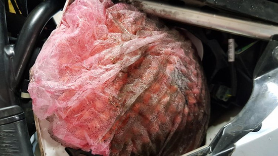 Osłona na filtr powietrza CARAPAKS Biała 25szt.